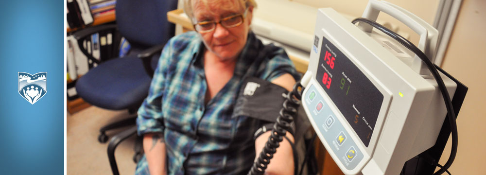 Goose Bay Blood Pressure Monitor