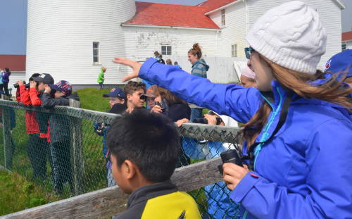 Quebec-Labrador Foundation Hosts Youth Science Training Programs with IGA Grant